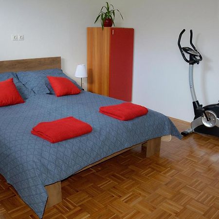 Apartma Vidmar Sencur Exterior photo